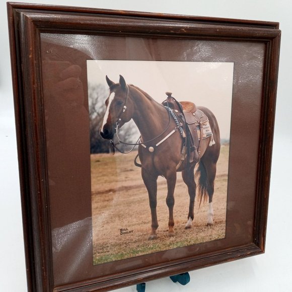 Beautiful Horse Photograph Framed Found Photo Art Cowboy Western Ranch Decor 14 - Picture 8 of 13